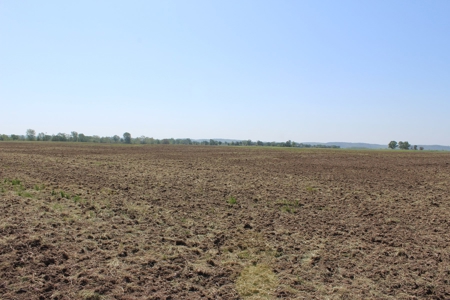 REB Investment CO Farmland Auction Tract 4 - image 9