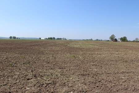 REB Investment CO Farmland Auction Tract 4 - image 12