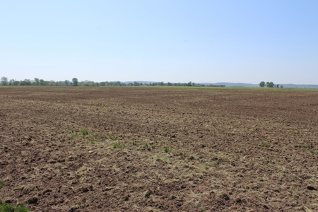 REB Investment CO Farmland Auction Tract 4 - image 14
