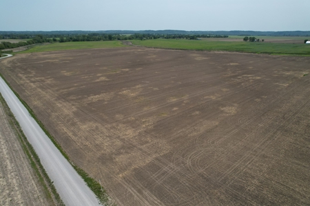 REB Investment CO Farmland Auction Tract 4 - image 2