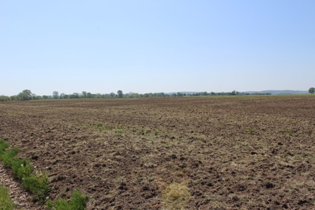 REB Investment CO Farmland Auction Tract 4 - image 7