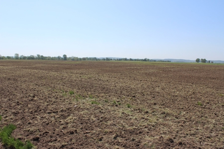 REB Investment CO Farmland Auction Tract 4 - image 15