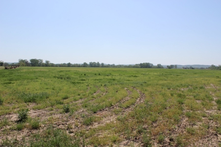 REB Investment CO Farmland Auction Tract 5 - image 5