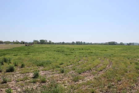REB Investment CO Farmland Auction Tract 5 - image 4