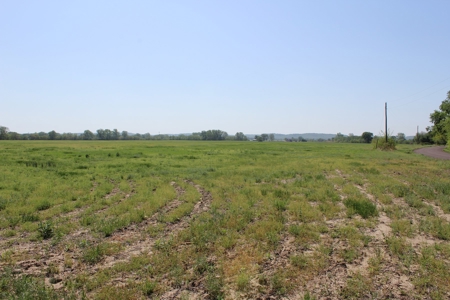 REB Investment CO Farmland Auction Tract 5 - image 6