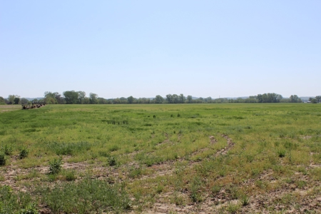 REB Investment CO Farmland Auction Tract 5 - image 8