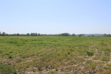 REB Investment CO Farmland Auction Tract 5 - image 7