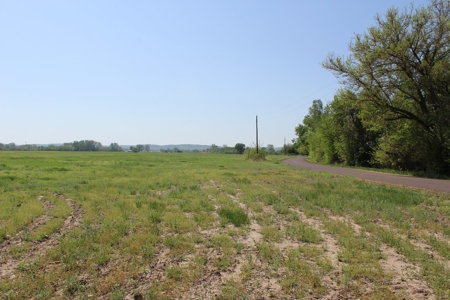 REB Investment CO Farmland Auction Tract 5 - image 2