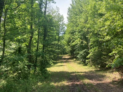 14.39+/- Acres For Sale near Batesville, AR - image 2