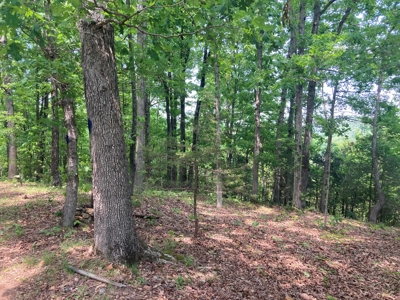 14.39+/- Acres For Sale near Batesville, AR - image 22