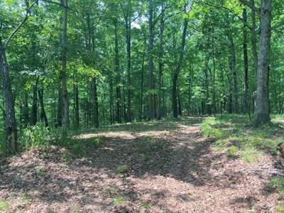 14.39+/- Acres For Sale near Batesville, AR - image 11
