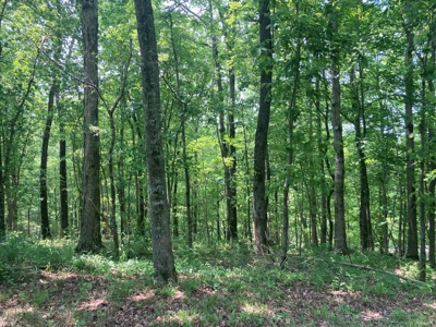 14.39+/- Acres For Sale near Batesville, AR - image 6