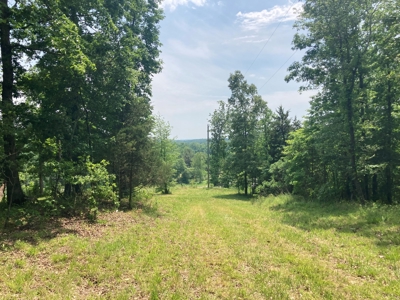 14.39+/- Acres For Sale near Batesville, AR - image 16