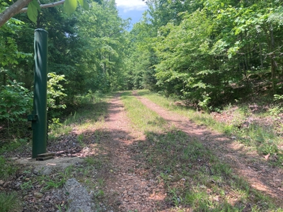 14.39+/- Acres For Sale near Batesville, AR - image 1