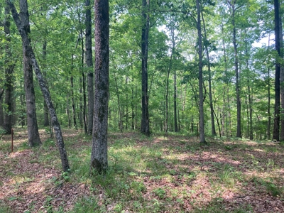 14.39+/- Acres For Sale near Batesville, AR - image 15