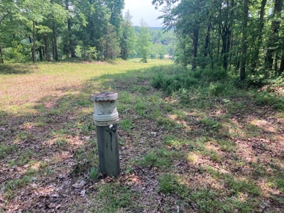14.39+/- Acres For Sale near Batesville, AR - image 13