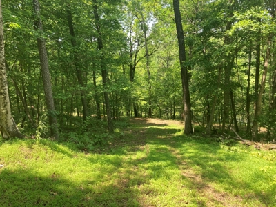 14.39+/- Acres For Sale near Batesville, AR - image 9
