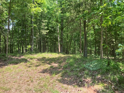 14.39+/- Acres For Sale near Batesville, AR - image 5