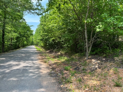 14.39+/- Acres For Sale near Batesville, AR - image 29