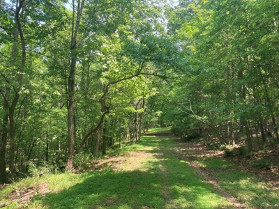 14.39+/- Acres For Sale near Batesville, AR - image 7