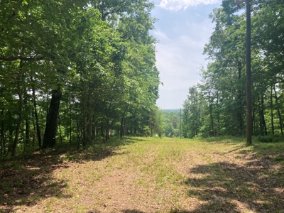 14.39+/- Acres For Sale near Batesville, AR - image 10