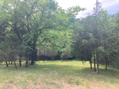 14.39+/- Acres For Sale near Batesville, AR - image 25