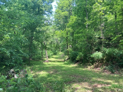 14.39+/- Acres For Sale near Batesville, AR - image 24