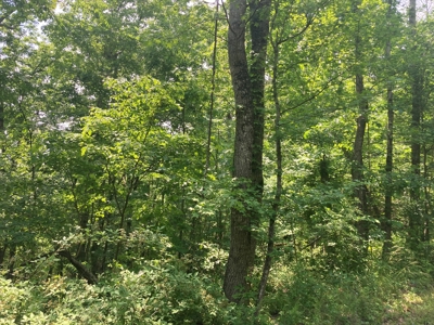 14.39+/- Acres For Sale near Batesville, AR - image 3