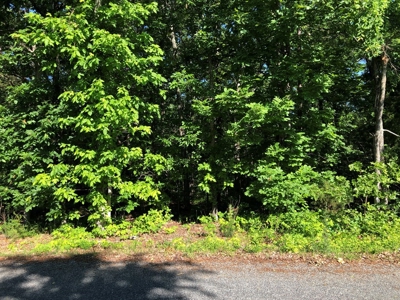 Laconia Landing Near Buggs Island Lake, VA - image 5