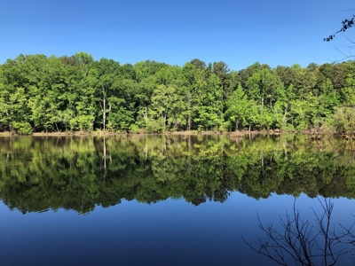 Laconia Landing Near Buggs Island Lake, VA - image 16