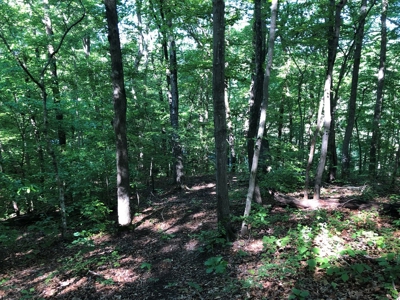Laconia Landing Near Buggs Island Lake, VA - image 14