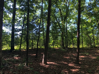 Laconia Landing Near Buggs Island Lake, VA - image 8