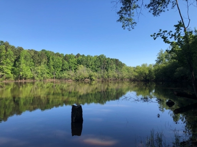 Laconia Landing Near Buggs Island Lake, VA - image 18