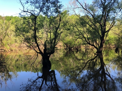 Laconia Landing Near Buggs Island Lake, VA - image 15