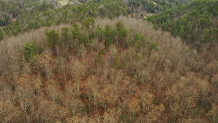 Unrestricted Wooded Property for Sale East Tennessee AUCTION - image 41