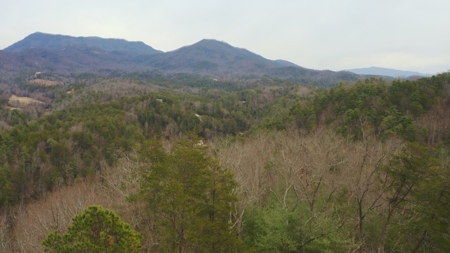 Unrestricted Wooded Property for Sale East Tennessee AUCTION - image 37