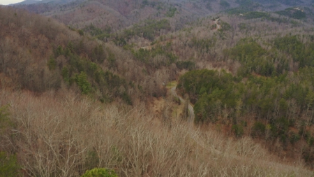 Unrestricted Wooded Property for Sale East Tennessee AUCTION - image 38