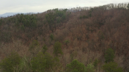 Unrestricted Wooded Property for Sale East Tennessee AUCTION - image 39