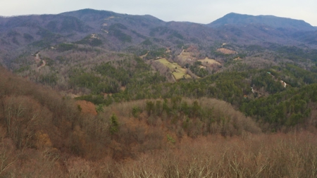 Unrestricted Wooded Property for Sale East Tennessee AUCTION - image 43
