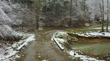 Unrestricted Wooded Property for Sale East Tennessee AUCTION - image 31