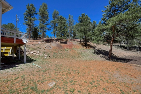 Potential Investment Property for Sale in the Colorado - image 5