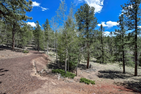 Potential Investment Property for Sale in the Colorado - image 6