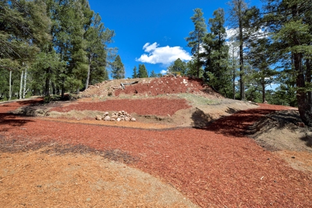 Potential Investment Property for Sale in the Colorado - image 8