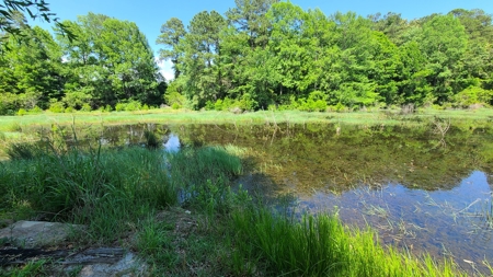 Fishing Property For Sale on Lake Amanda - image 39