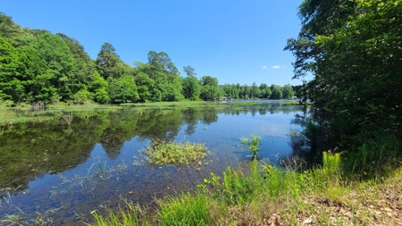 Fishing Property For Sale on Lake Amanda - image 38