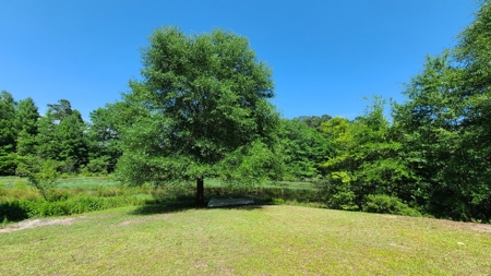 Fishing Property For Sale on Lake Amanda - image 36