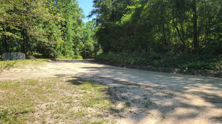 Fishing Property For Sale on Lake Amanda - image 29