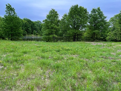 Versatile Tract With Building Sites - Macon County, Mo - image 16