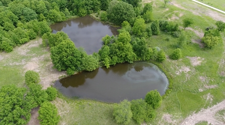 Versatile Tract With Building Sites - Macon County, Mo - image 5