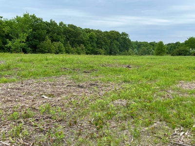 Versatile Tract With Building Sites - Macon County, Mo - image 10
